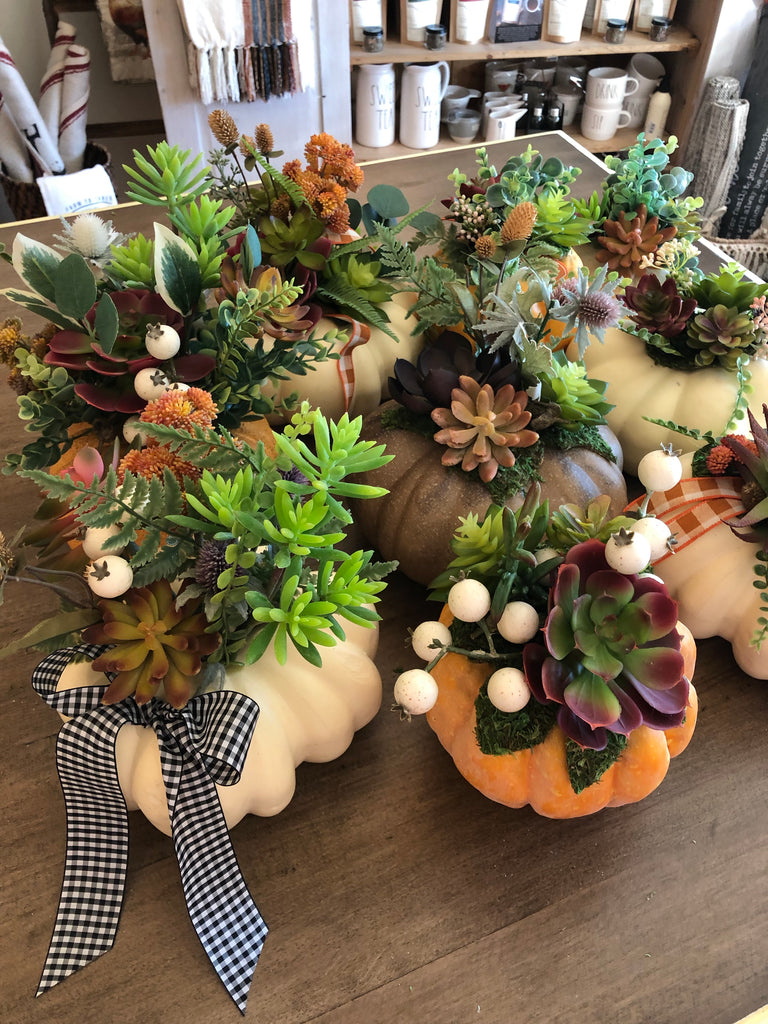 Succulent October Workshop SUCCESS!